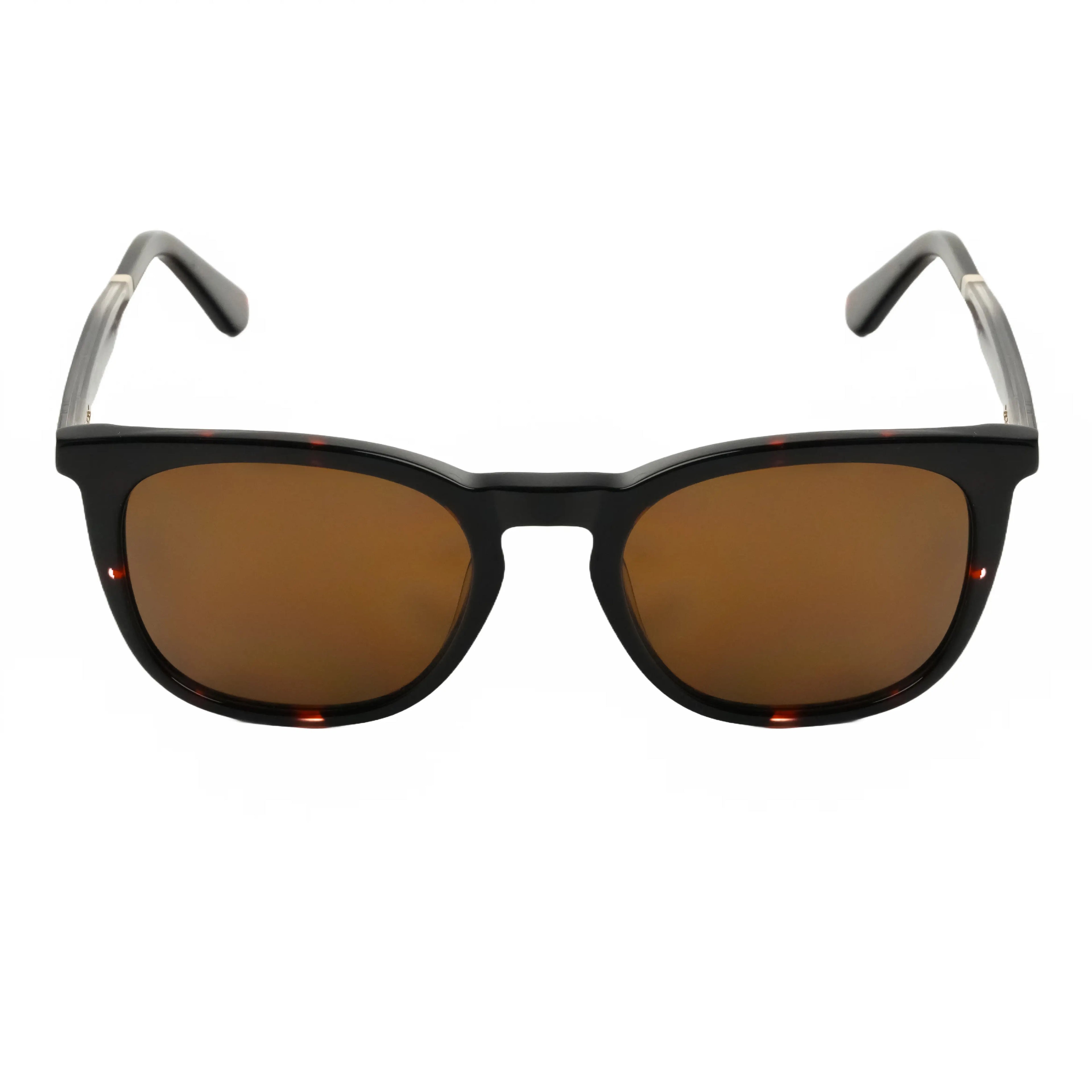 Men's Sunglasses with honey Frame by Italian Brand Verutti, Model AT8878
